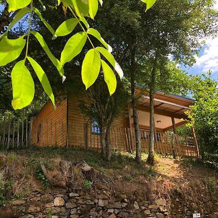 Camping Moulin De Chaules Saint-Constant Екстериор снимка