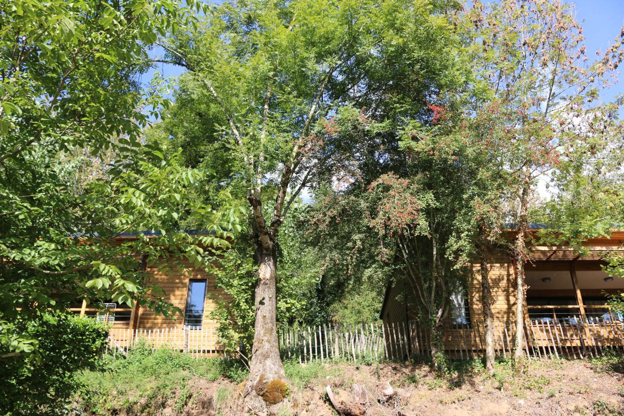 Camping Moulin De Chaules Saint-Constant Екстериор снимка
