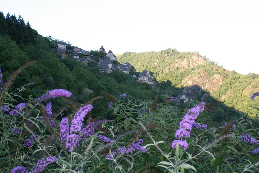 Camping Moulin De Chaules Saint-Constant Екстериор снимка