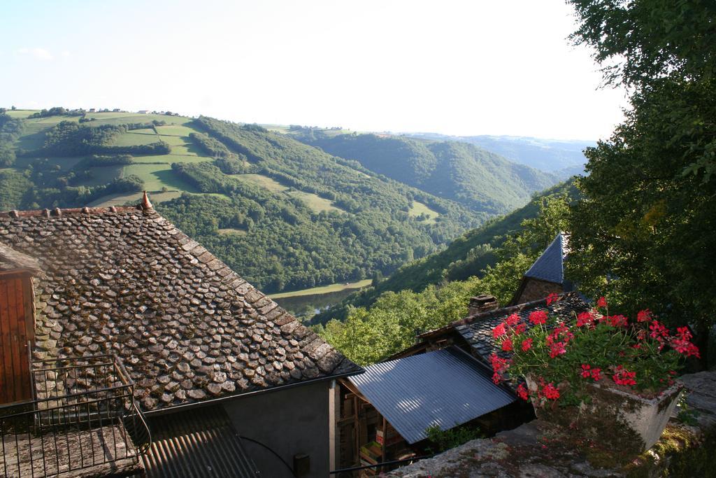 Camping Moulin De Chaules Saint-Constant Екстериор снимка